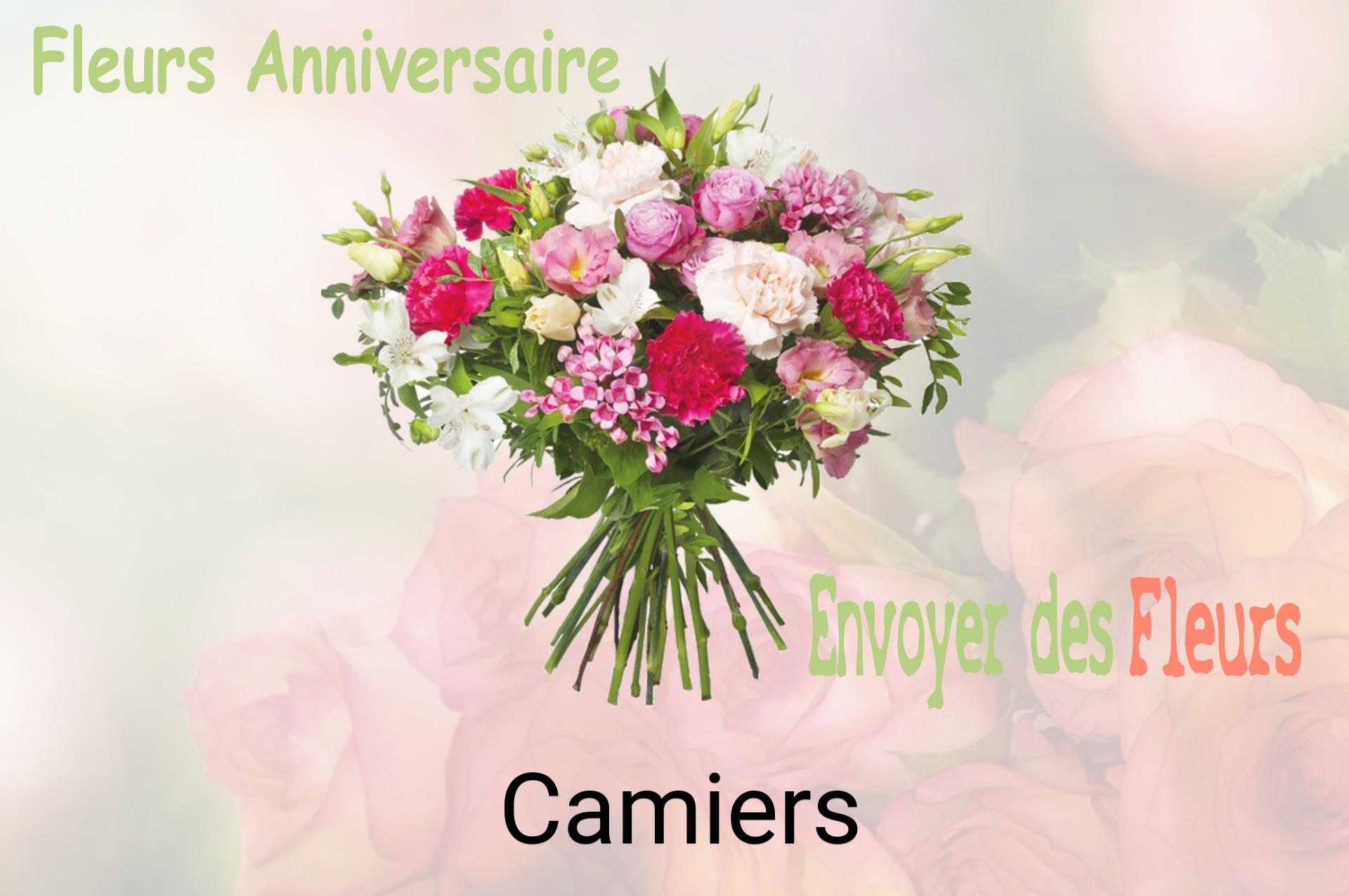 Bouquet de fleurs d’anniversaire livré à Camiers