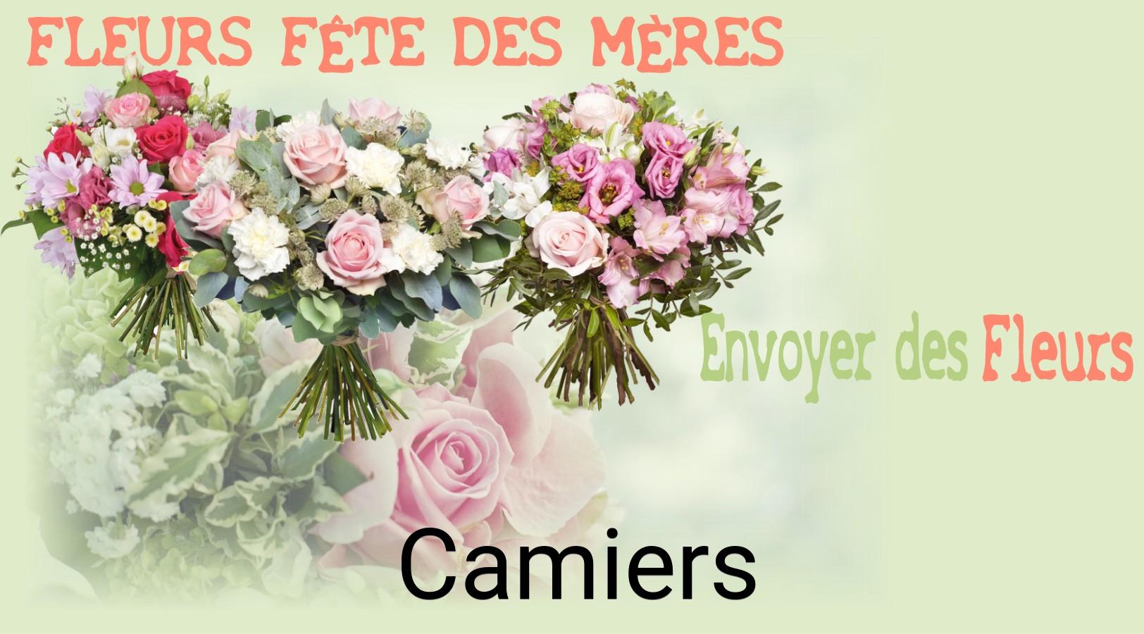 Bouquet de Fête des Mères livré à Camiers