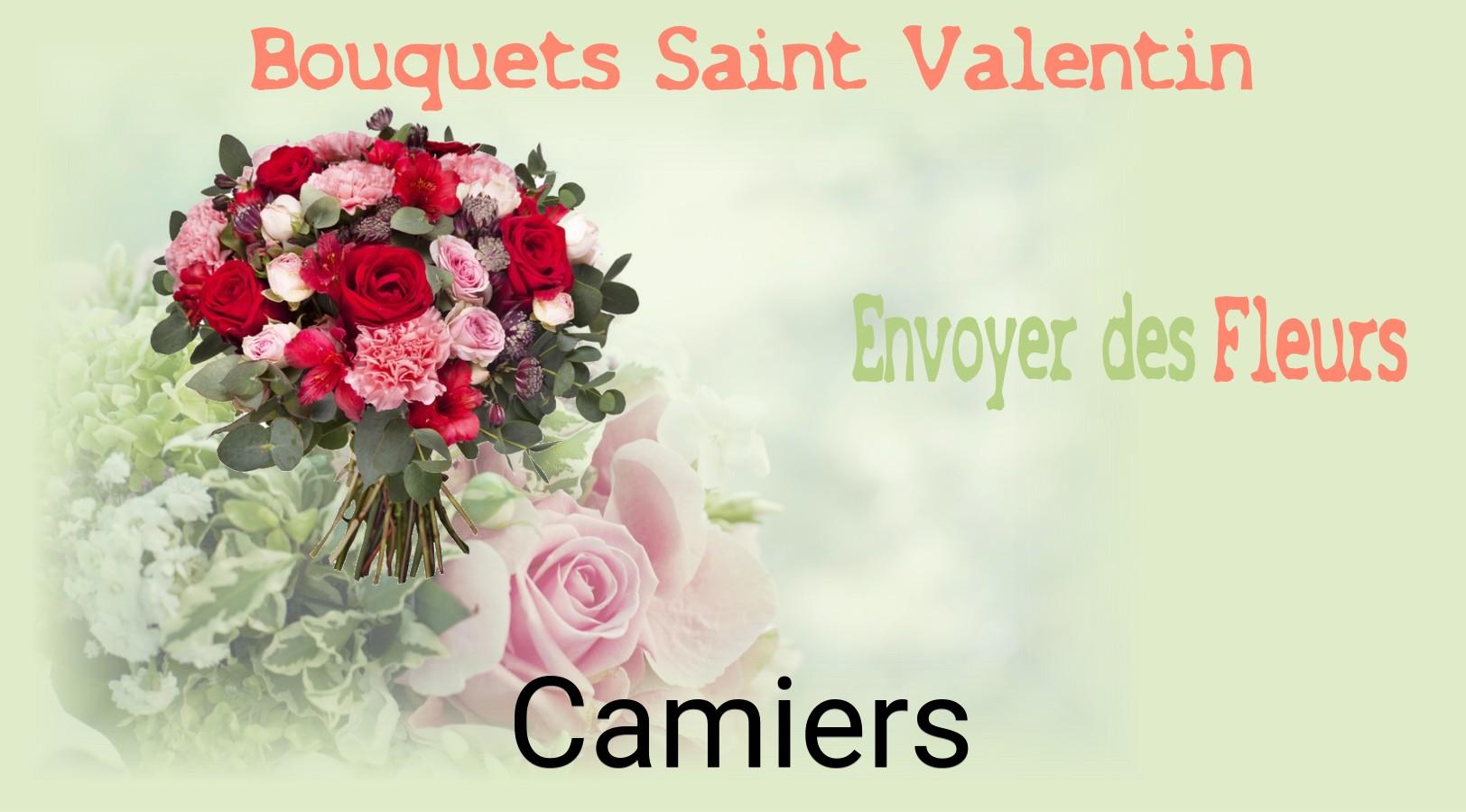 Roses de Saint-Valentin livrées à Camiers